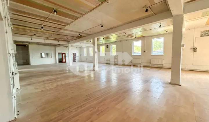 Depozit, Ciocana, UZINELOR