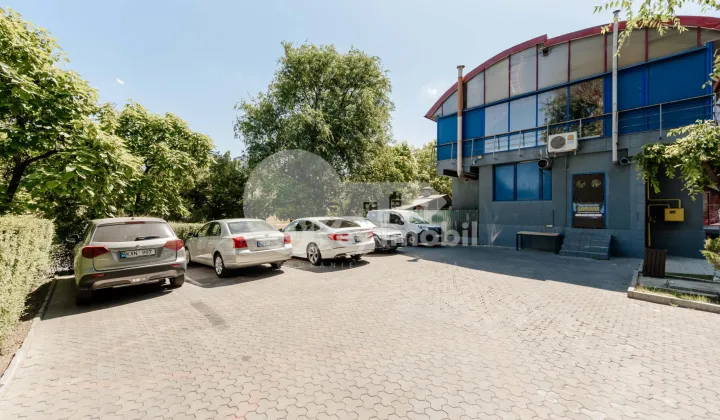 Spațiu comercial, Centru, ALBIȘOARA