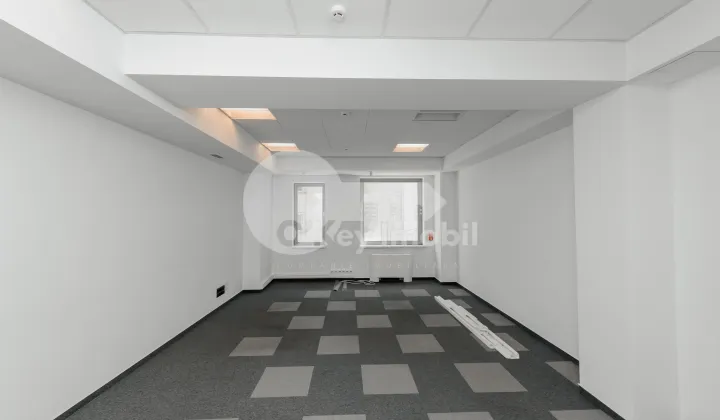 Oficiu, Centru, SFATUL ȚĂRII