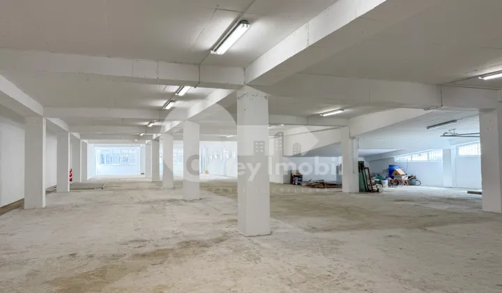 Spațiu pentru producere, Râșcani, SERGIU RĂDĂUȚANU