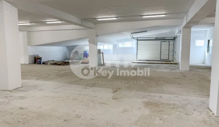 Spațiu pentru producere, Râșcani, SERGIU RĂDĂUȚANU