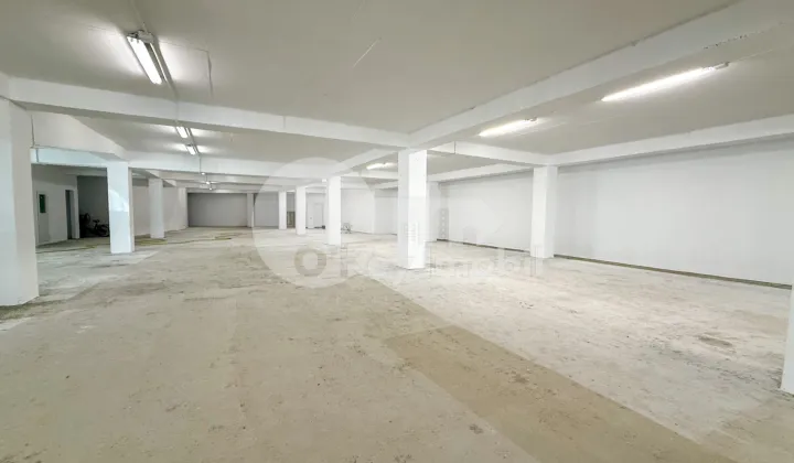 Spațiu pentru producere, Râșcani, SERGIU RĂDĂUȚANU