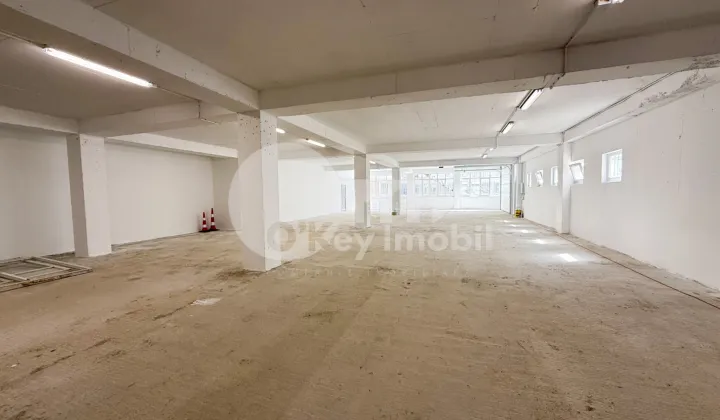 Spațiu pentru producere, Râșcani, SERGIU RĂDĂUȚANU