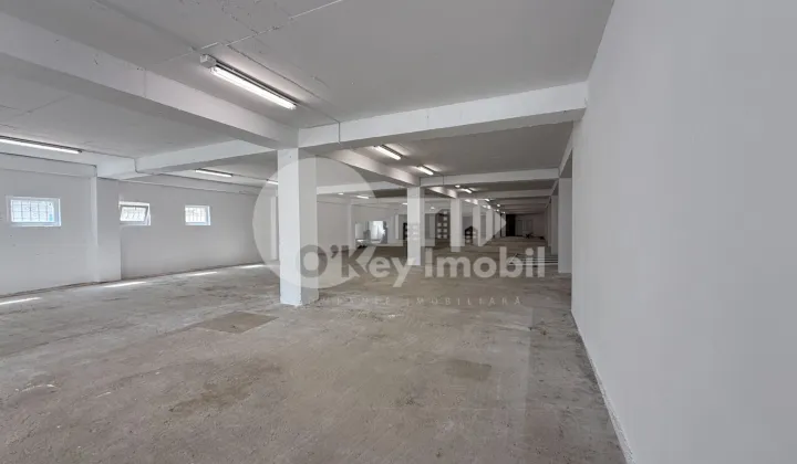 Spațiu pentru producere, Râșcani, SERGIU RĂDĂUȚANU