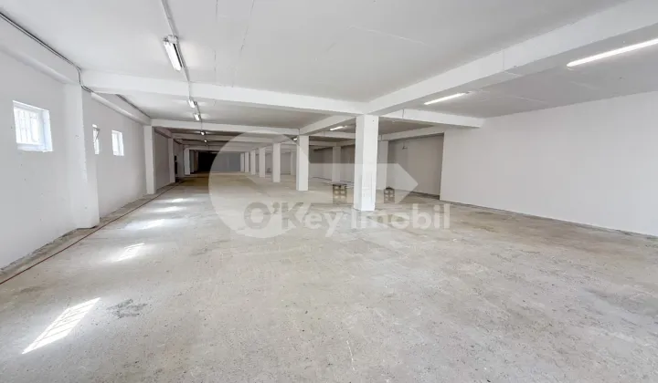 Spațiu pentru producere, Râșcani, SERGIU RĂDĂUȚANU