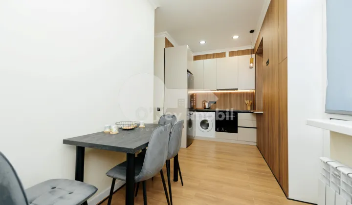 Apartament, Centru, GRIGORE VIERU