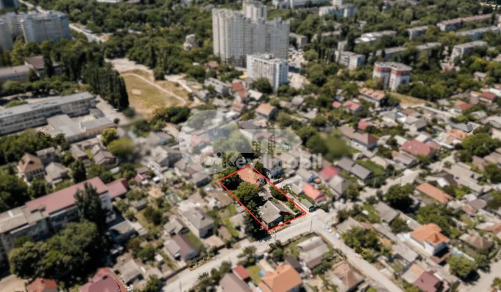 Teren, Botanica, PLAIULUI