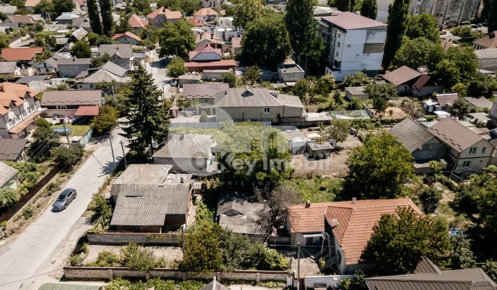 Teren, Botanica, PLAIULUI