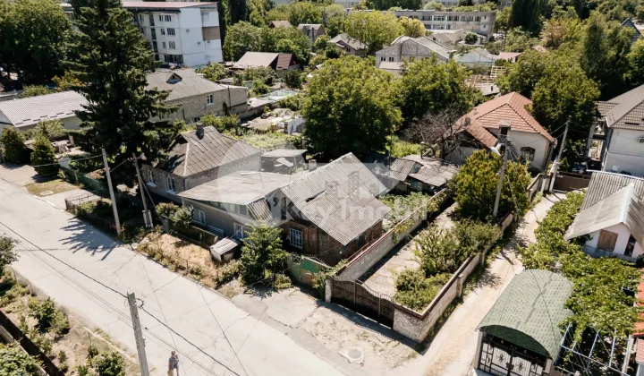 Teren, Botanica, PLAIULUI