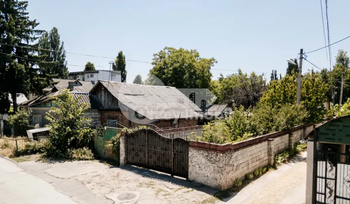 Teren, Botanica, PLAIULUI