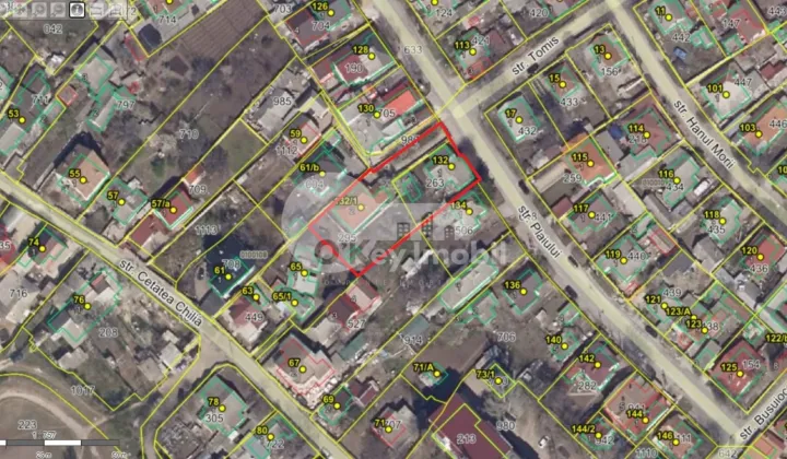 Teren, Botanica, PLAIULUI