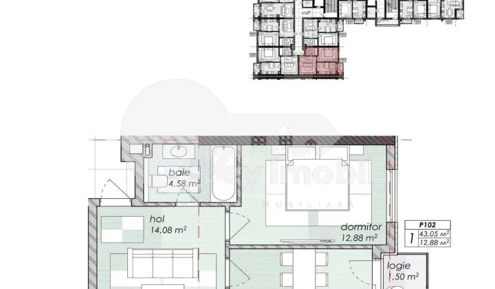 Apartament, Durlești, NICOLAE DIMO