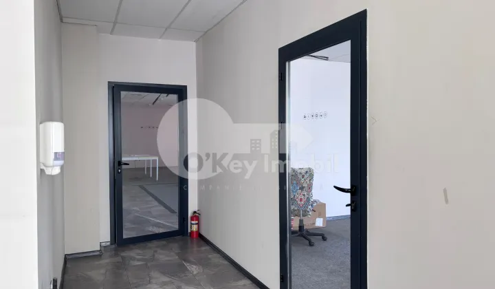 Oficiu, Centru, ȘTEFAN CEL MARE