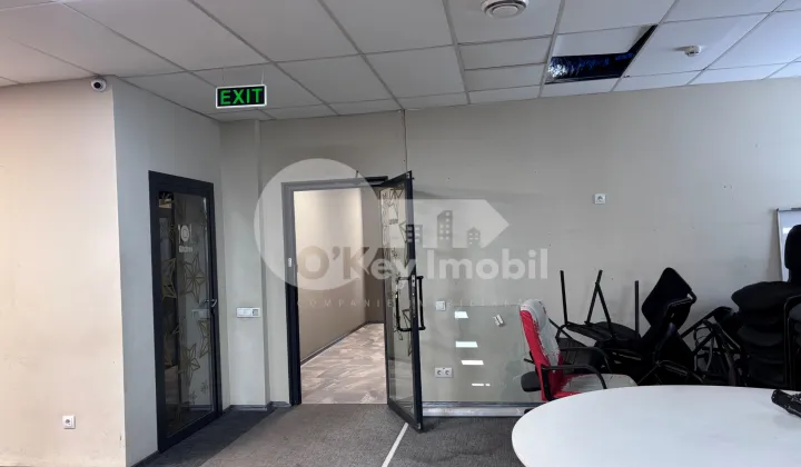 Oficiu, Centru, ȘTEFAN CEL MARE