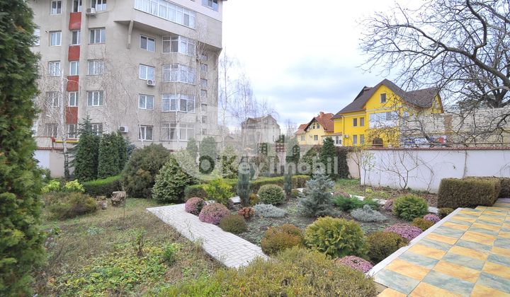 Oficiu, Centru, TOMA CIORBĂ