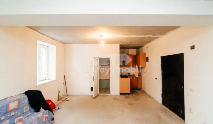 Casă, Centru, TIMIȘ