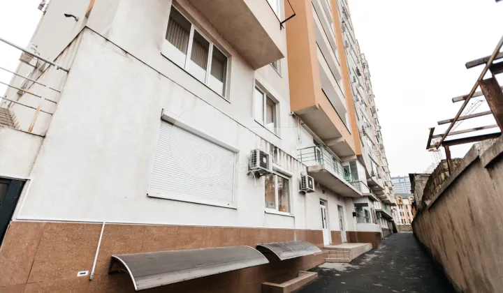 Oficiu, Centru, PETRU RAREȘ