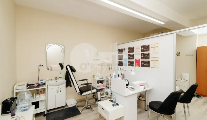 Oficiu, Telecentru, ION INCULEȚ