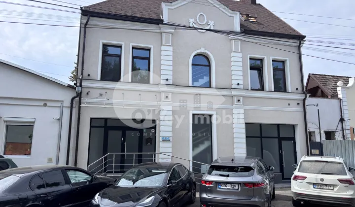 Spațiu comercial, Centru, SERGHEI LAZO