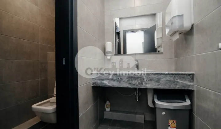 Oficiu, Botanica, DACIA