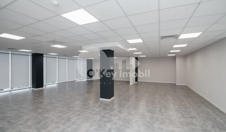 Oficiu, Botanica, DACIA