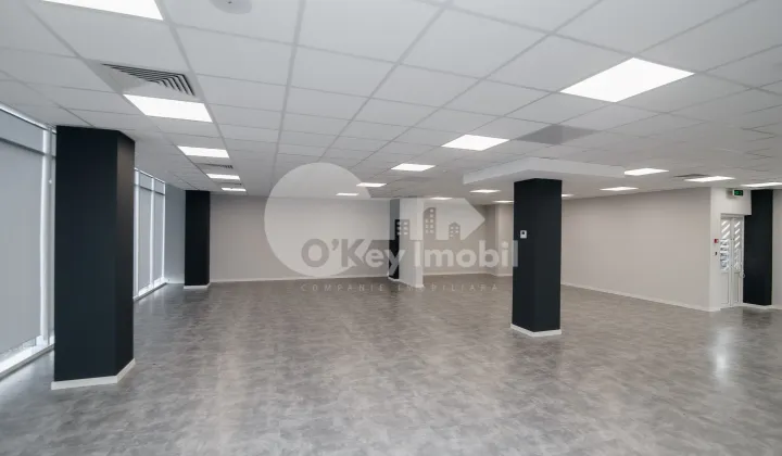 Oficiu, Botanica, DACIA