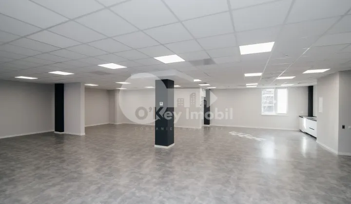 Oficiu, Botanica, DACIA