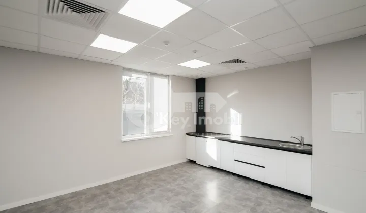 Oficiu, Botanica, DACIA