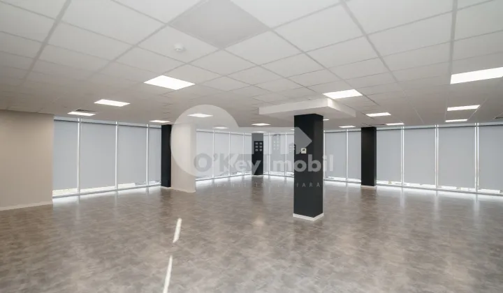 Oficiu, Botanica, DACIA