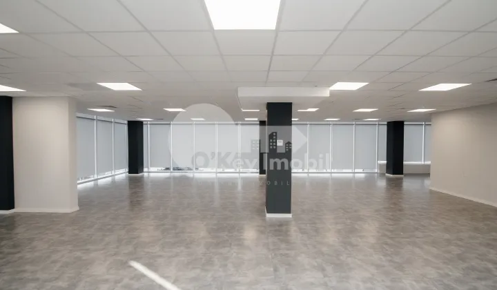 Oficiu, Botanica, DACIA