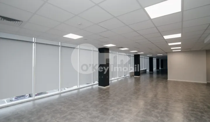 Oficiu, Botanica, DACIA