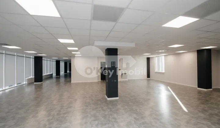 Oficiu, Botanica, DACIA