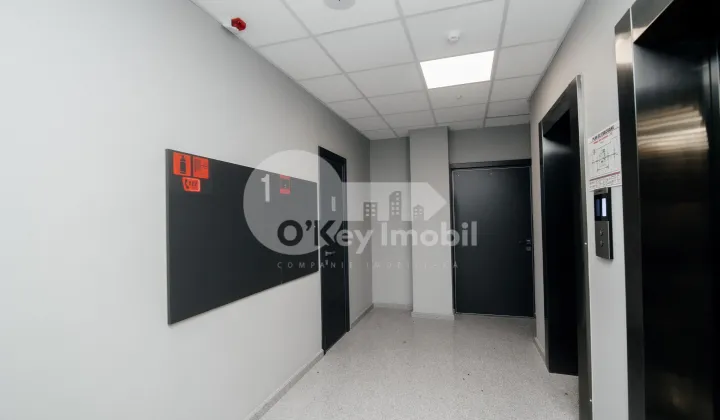 Oficiu, Botanica, DACIA