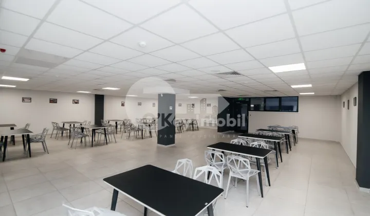 Oficiu, Botanica, DACIA