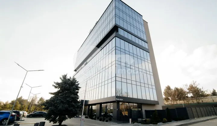 Oficiu, Botanica, DACIA