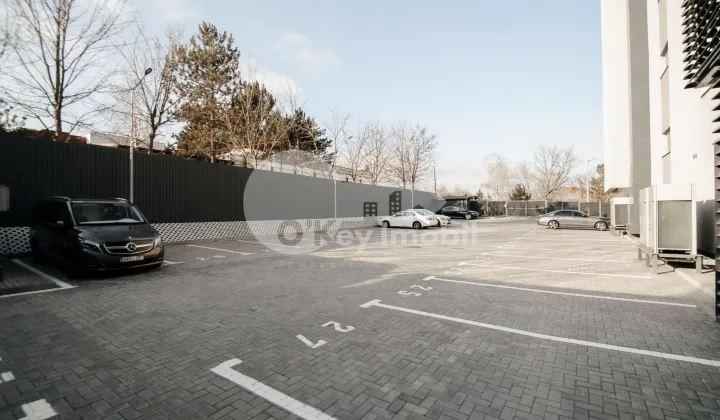 Oficiu, Botanica, DACIA