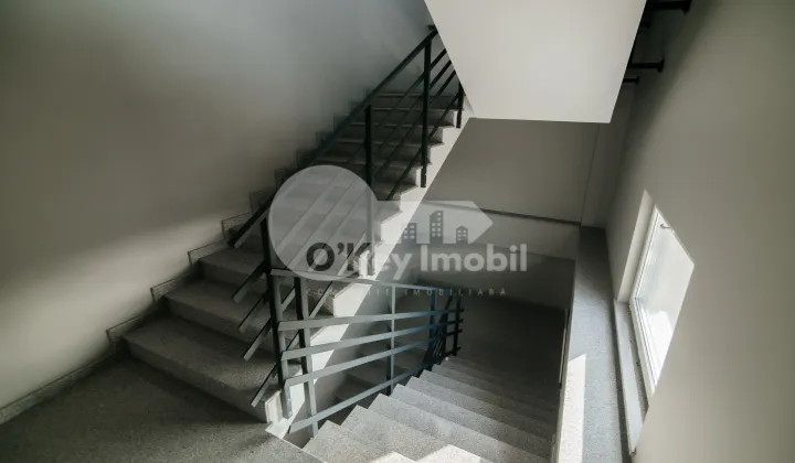 Oficiu, Botanica, BD. DACIA