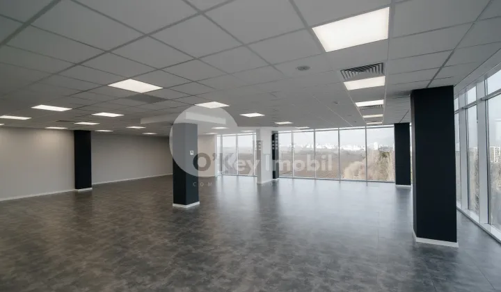 Oficiu, Botanica, BD. DACIA