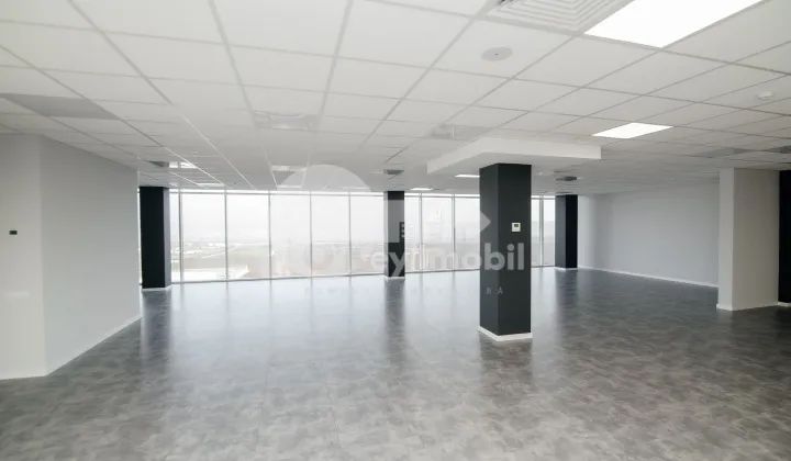 Oficiu, Botanica, BD. DACIA