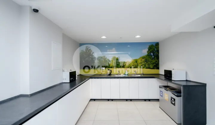 Oficiu, Botanica, BD. DACIA