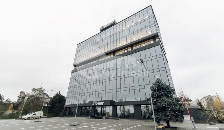 Oficiu, Botanica, BD. DACIA