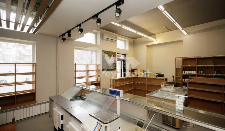 Spațiu comercial, Centru, GRIGORE VIERU