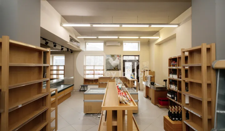 Spațiu comercial, Centru, GRIGORE VIERU