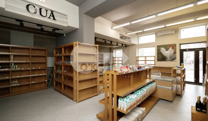 Spațiu comercial, Centru, GRIGORE VIERU