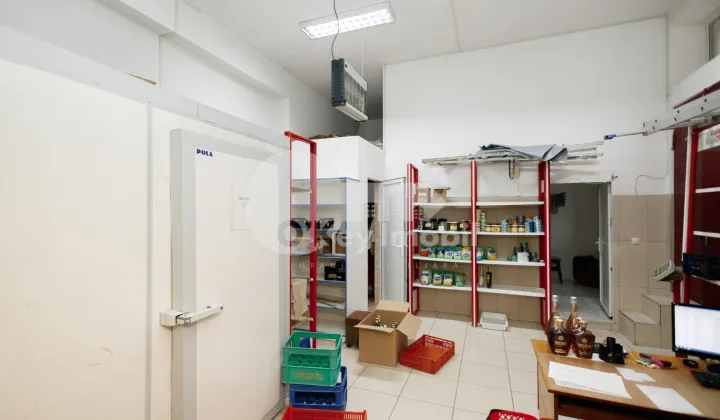 Spațiu comercial, Centru, GRIGORE VIERU