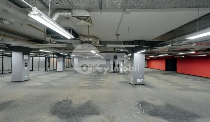 Spațiu comercial, Botanica, DACIA