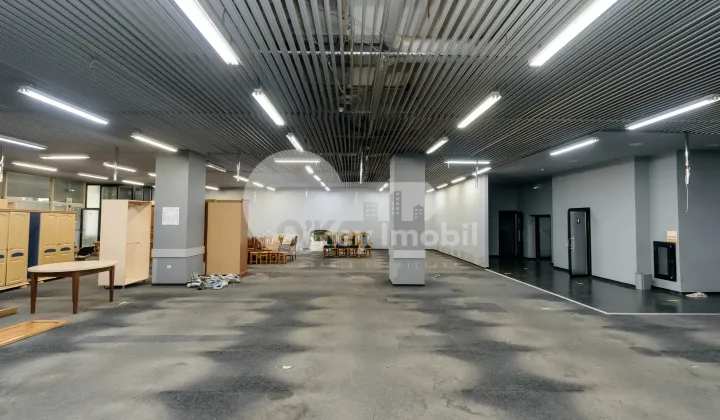 Spațiu comercial, Botanica, DACIA