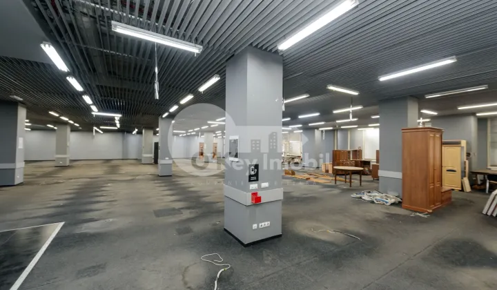 Spațiu comercial, Botanica, DACIA