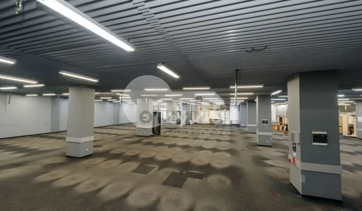 Spațiu comercial, Botanica, DACIA