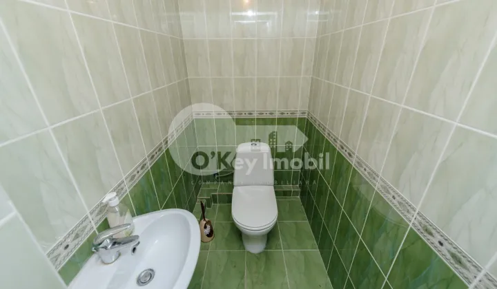 Spațiu comercial, Botanica, DACIA